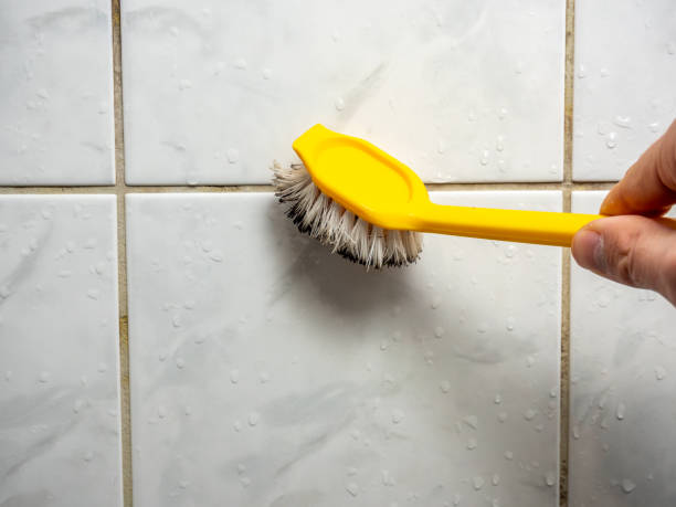 Best Commercial Mold Removal  in Ovid, MI