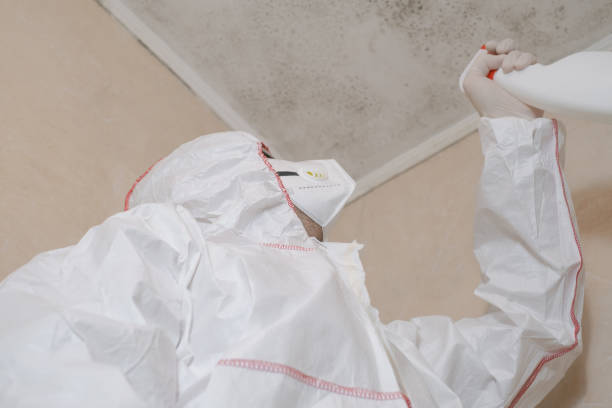 Best Mold Cleaning Services  in Ovid, MI